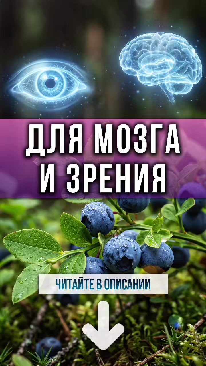 @ЗОЖнавигатор
