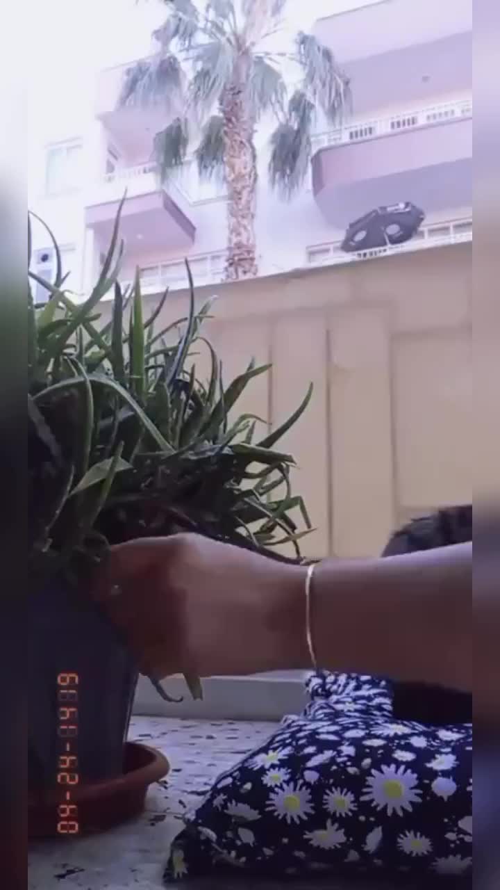 @Dilbirin anlamı yaralı gönül