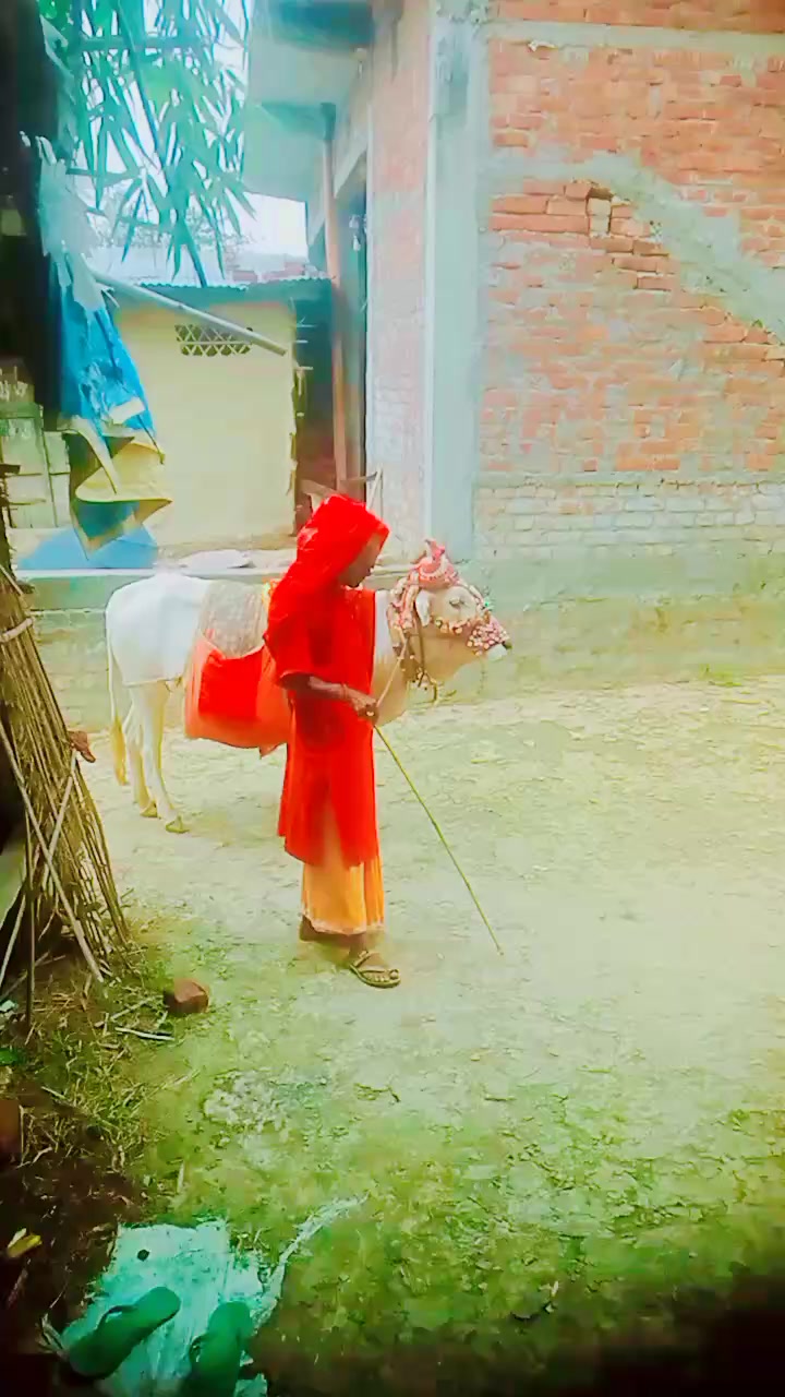 @Ahirni 💪 Queen 👑💖💖🥰🥰🎉🎉
