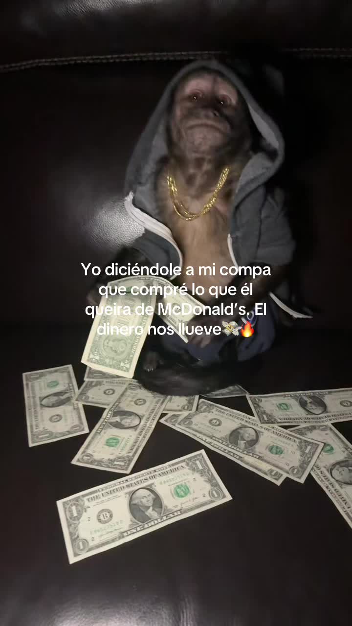 @jaremonox
