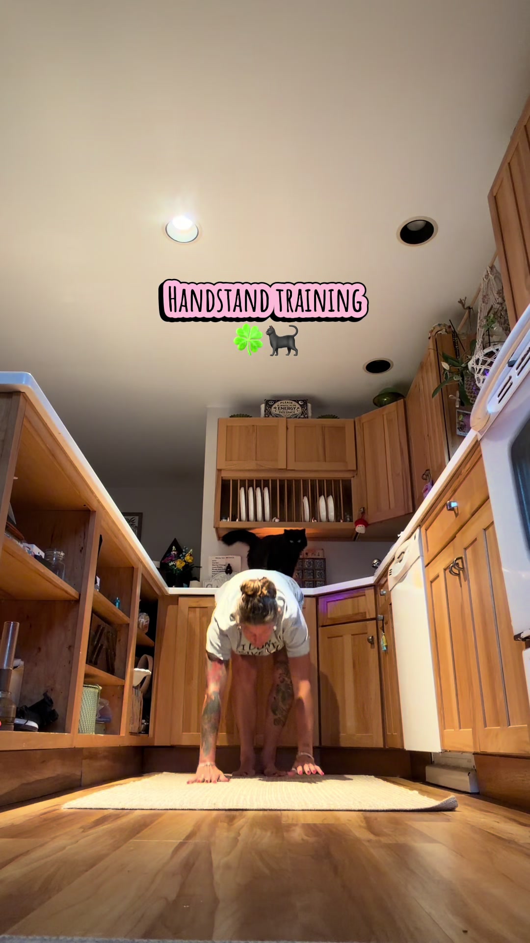 @gardengirl8440