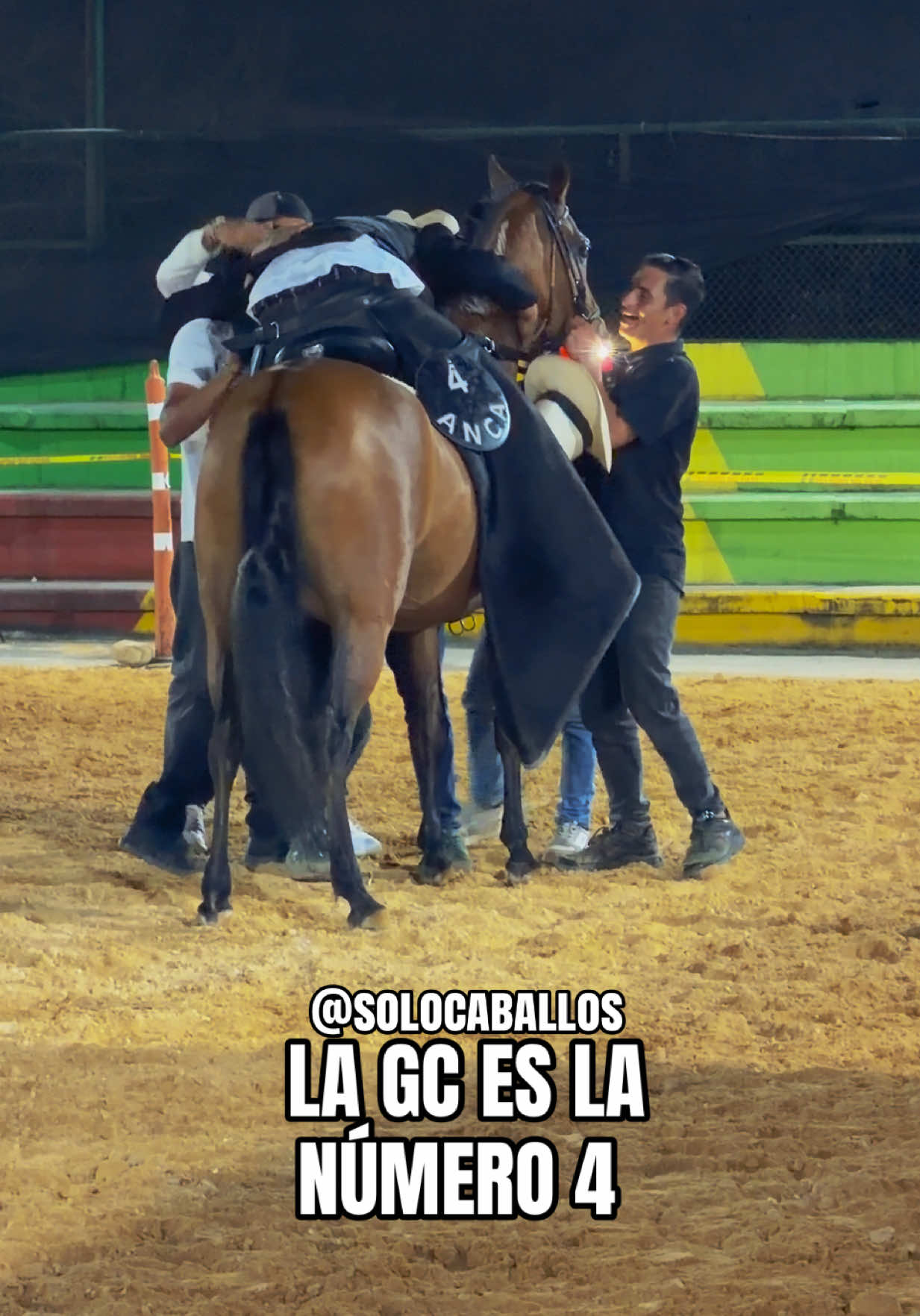 @Solo Caballos