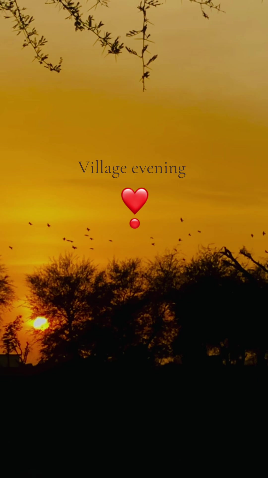 @❤️🔥♡𝓖ĥบˡάϻ ᥒά多í ♡❤️🔥804