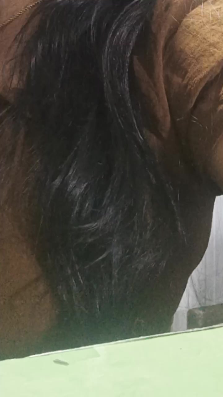 @, 🥰TARI MLNG🥰