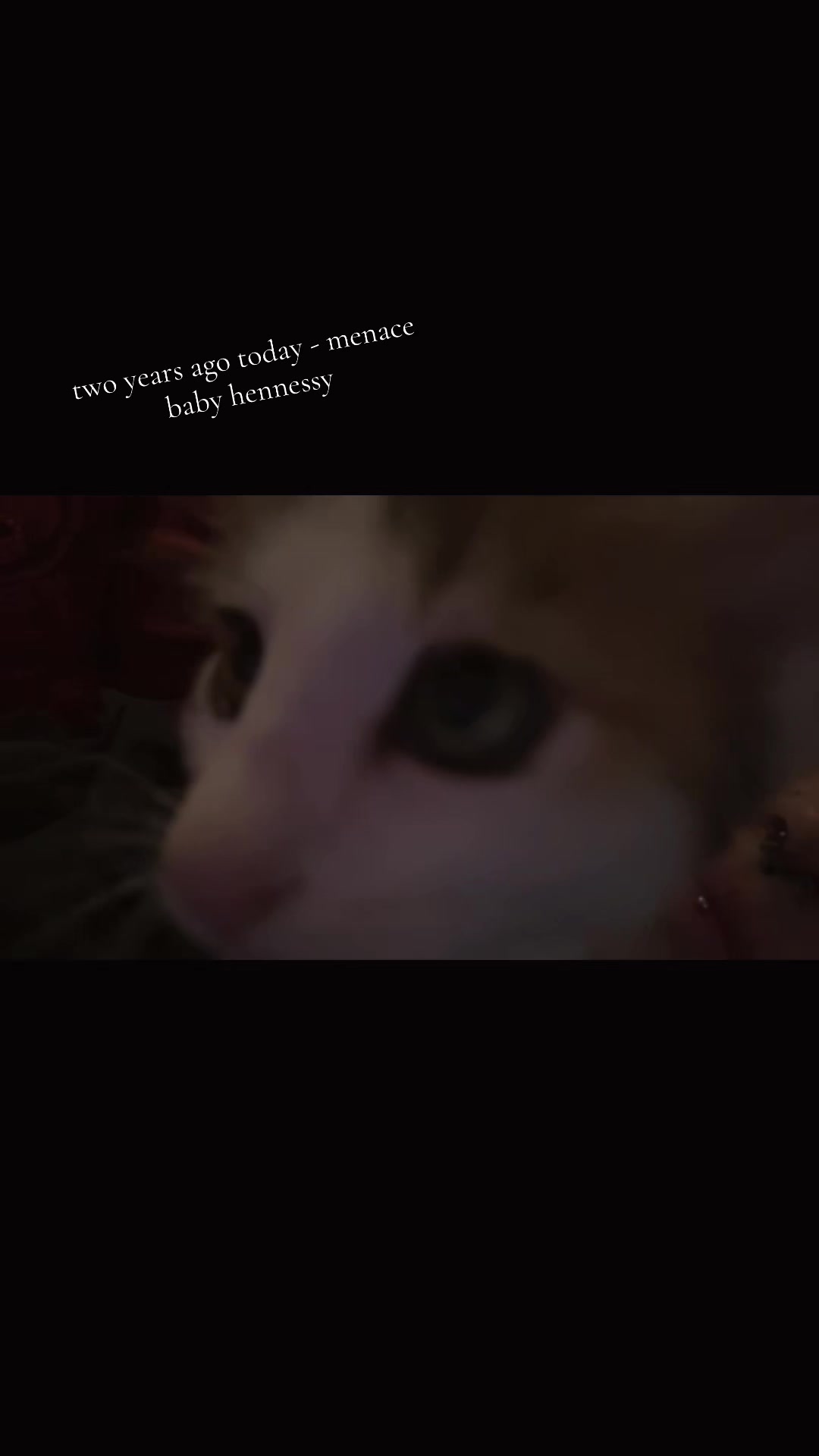 @;-;