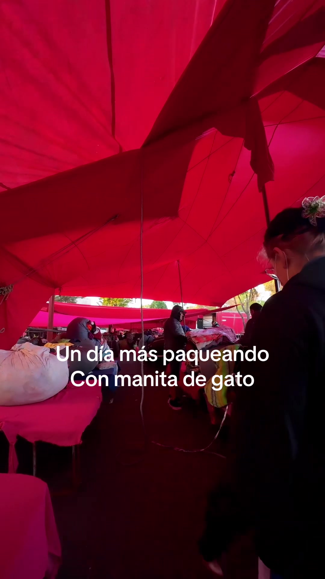 @manitadgmx