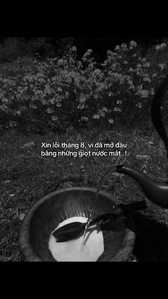 @Phe Tâm Trạng🫀