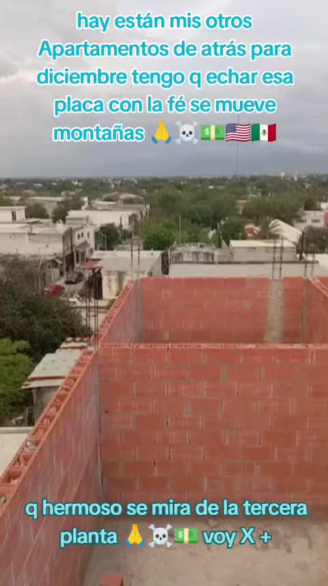 @el tigre 🐅 de Houston