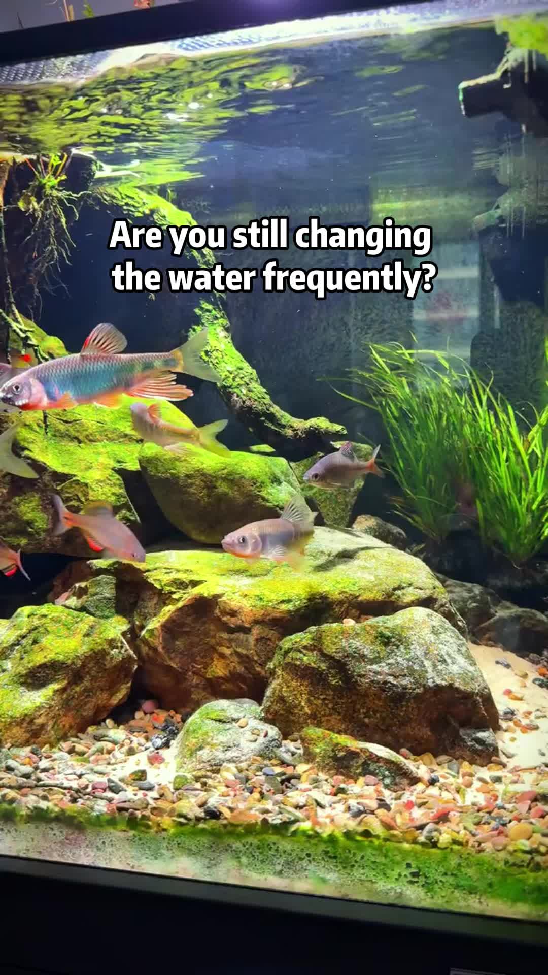 @AquaBunny