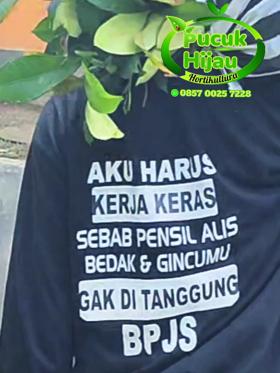@PUCUK HIJAU🌿