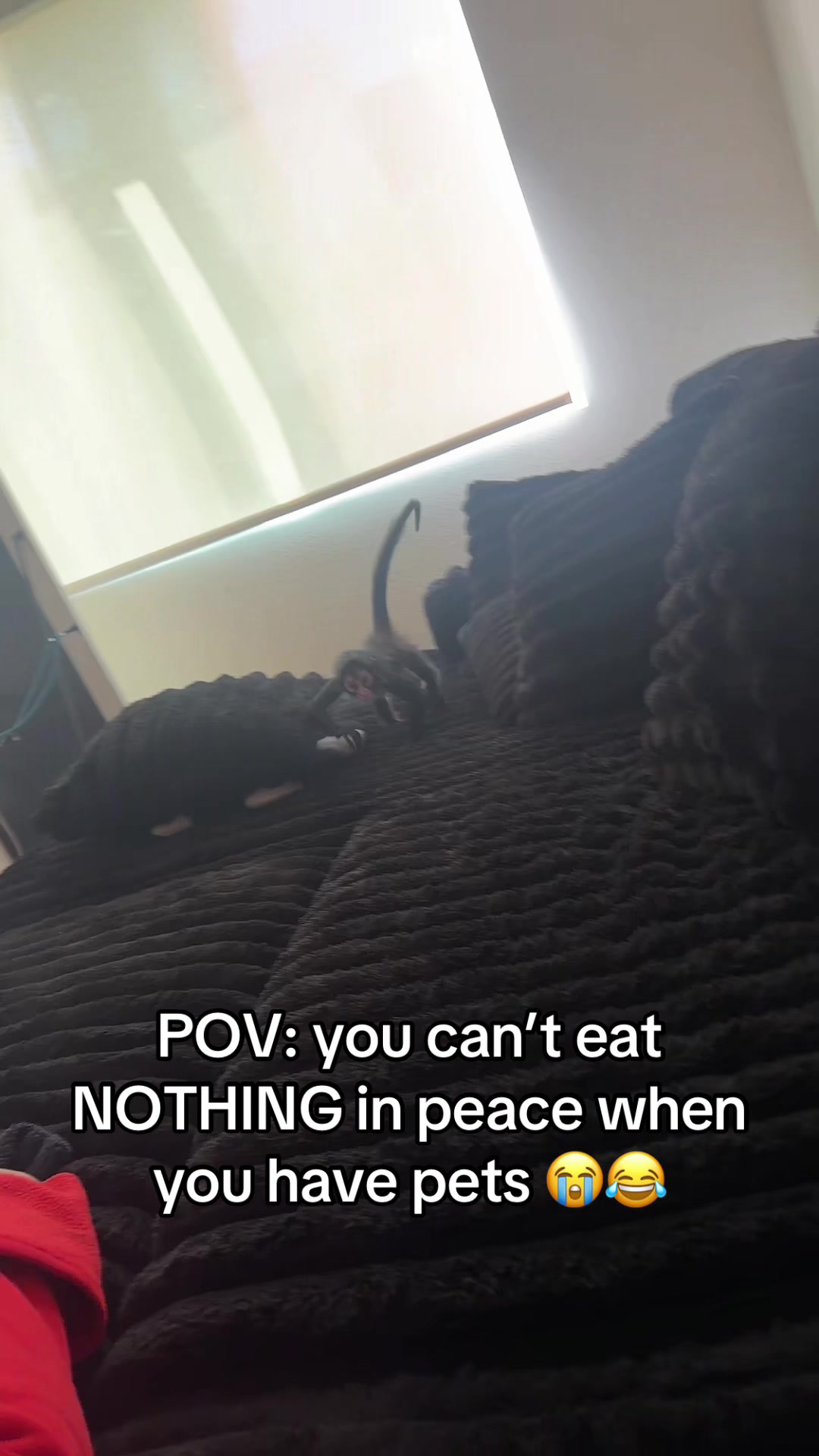 @OJTV & Mojo Jojo🧡