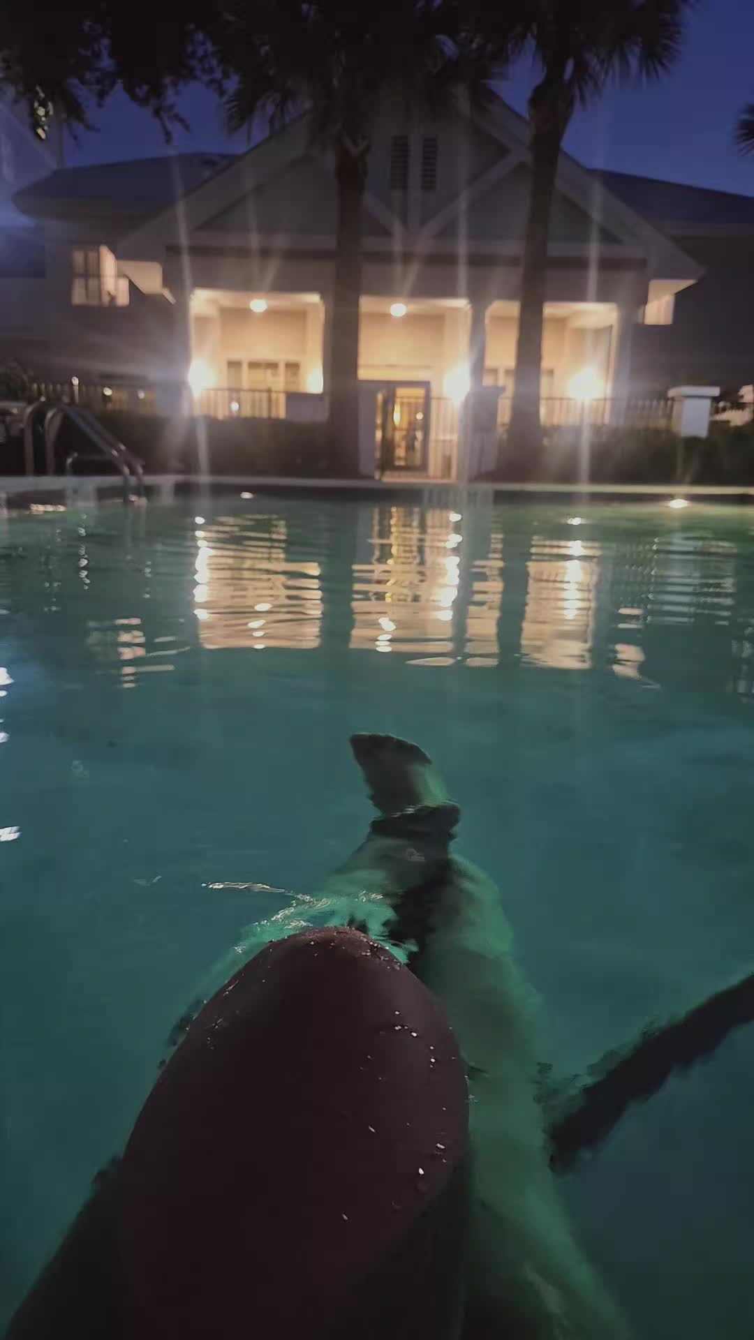 @NelleBelle