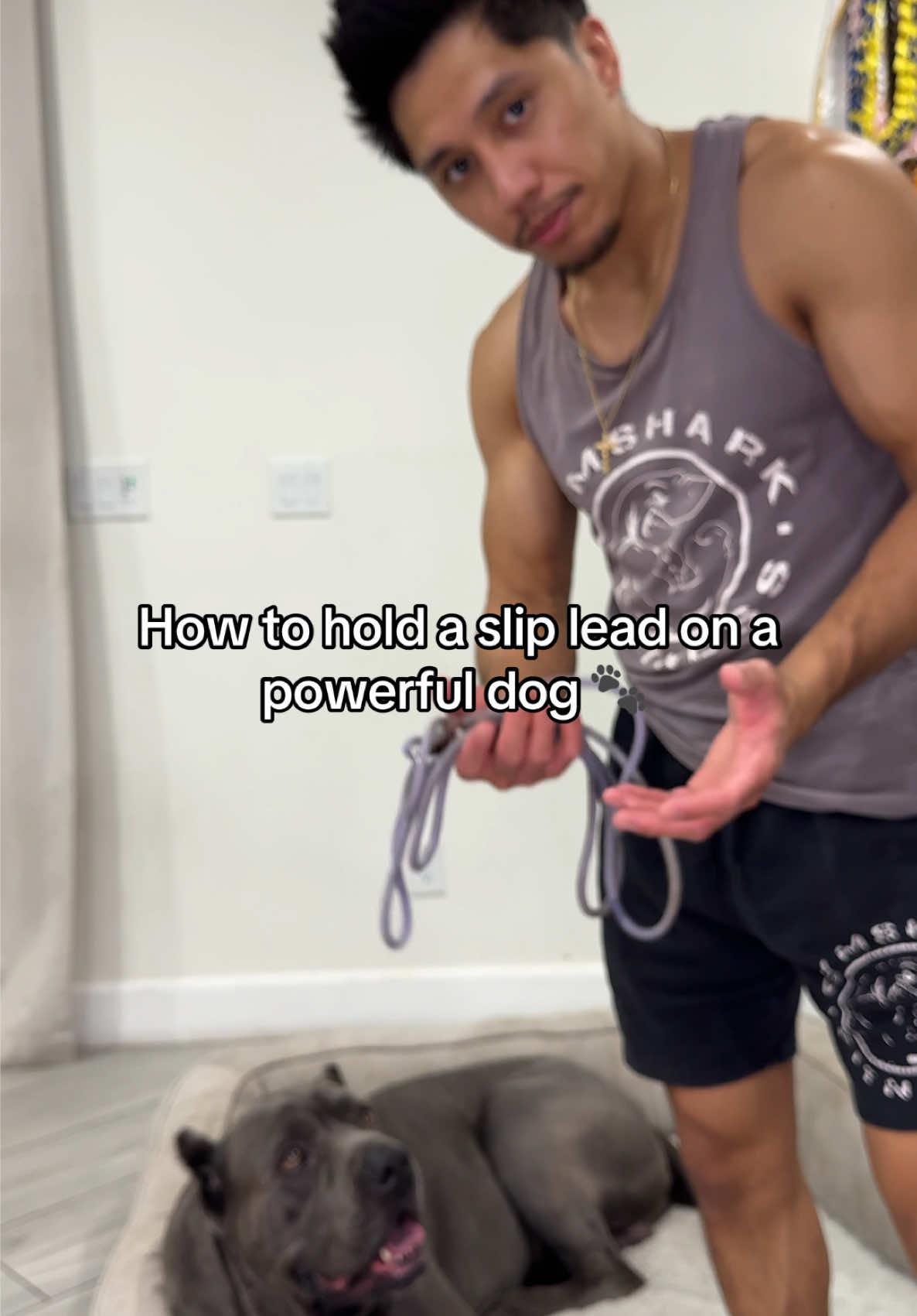 @Broly and Kyle