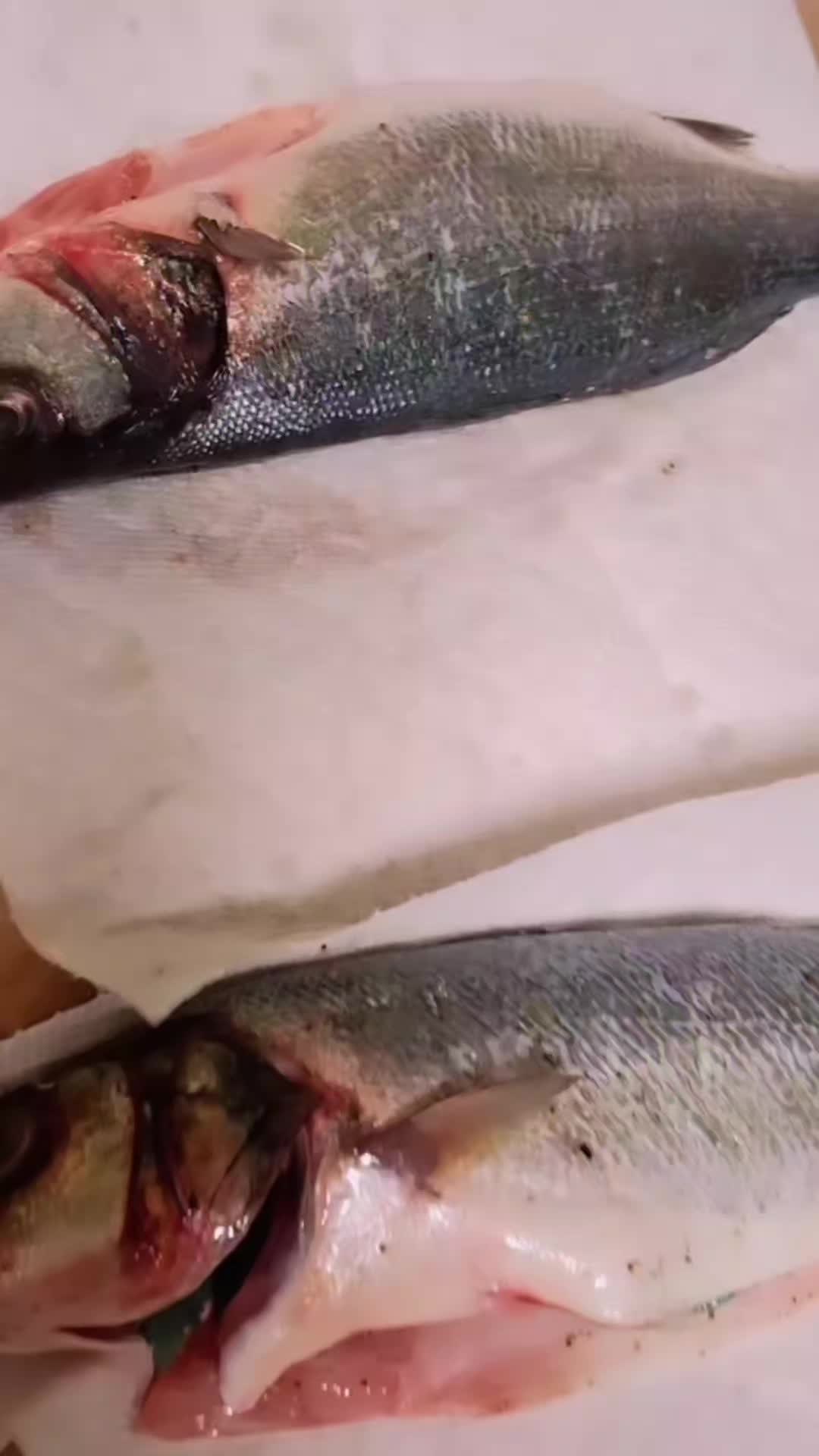 @Robertitanica