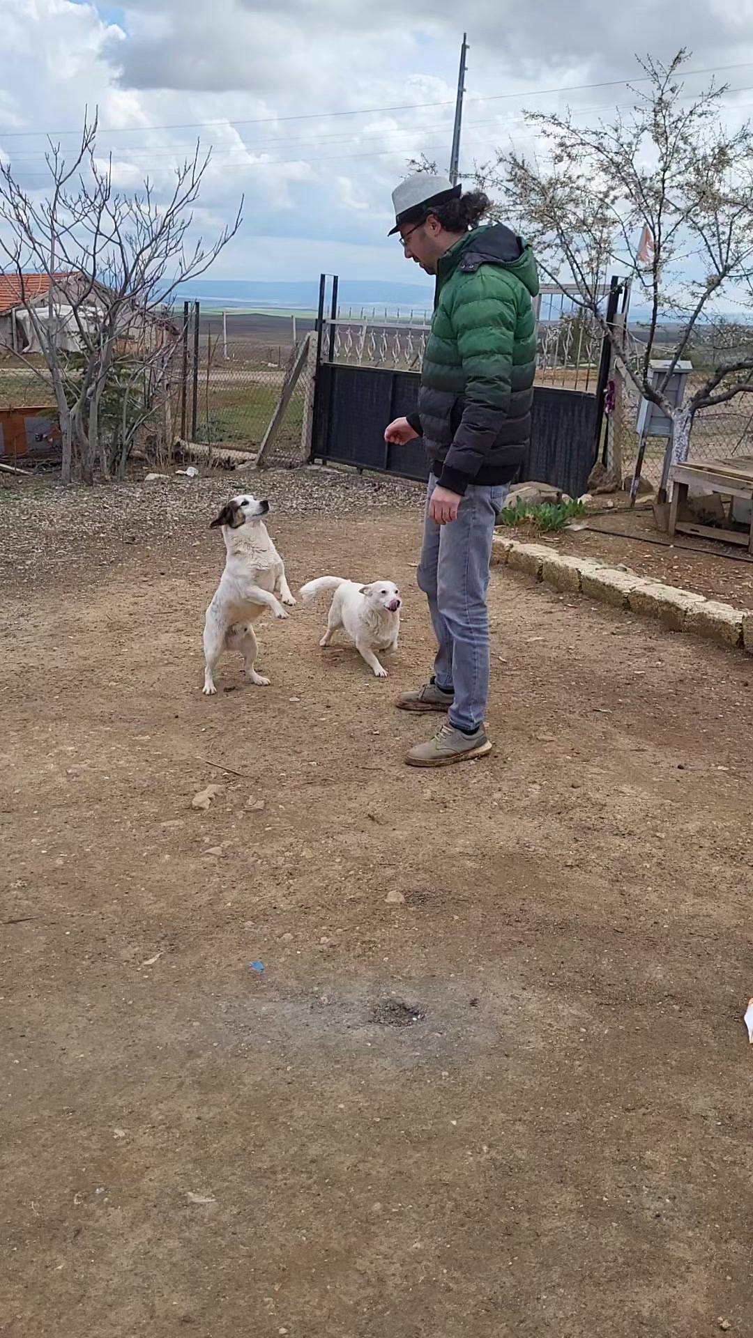@TOLGA