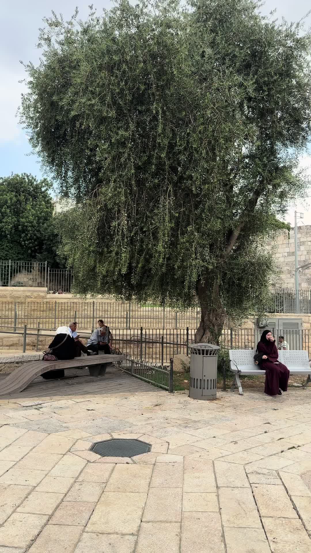 @RV __🇱🇰_🇮🇱