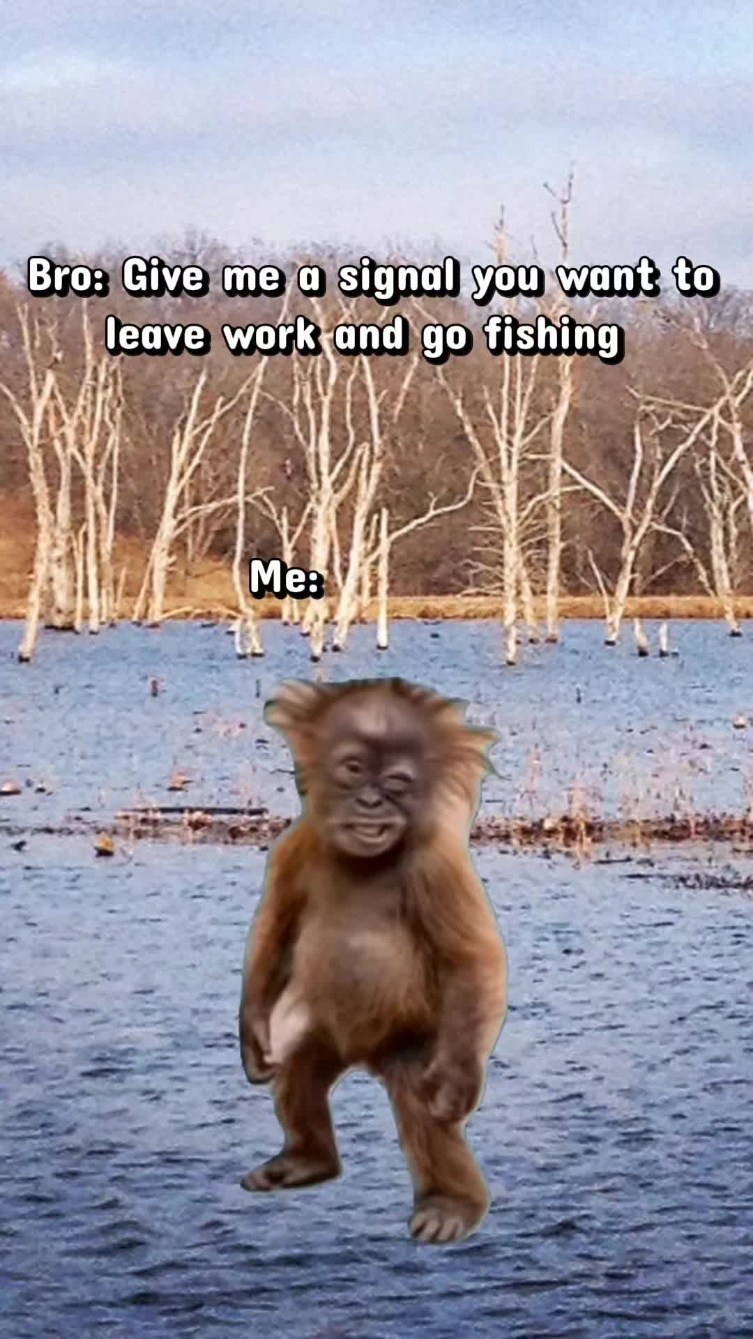 @TheFishingFix