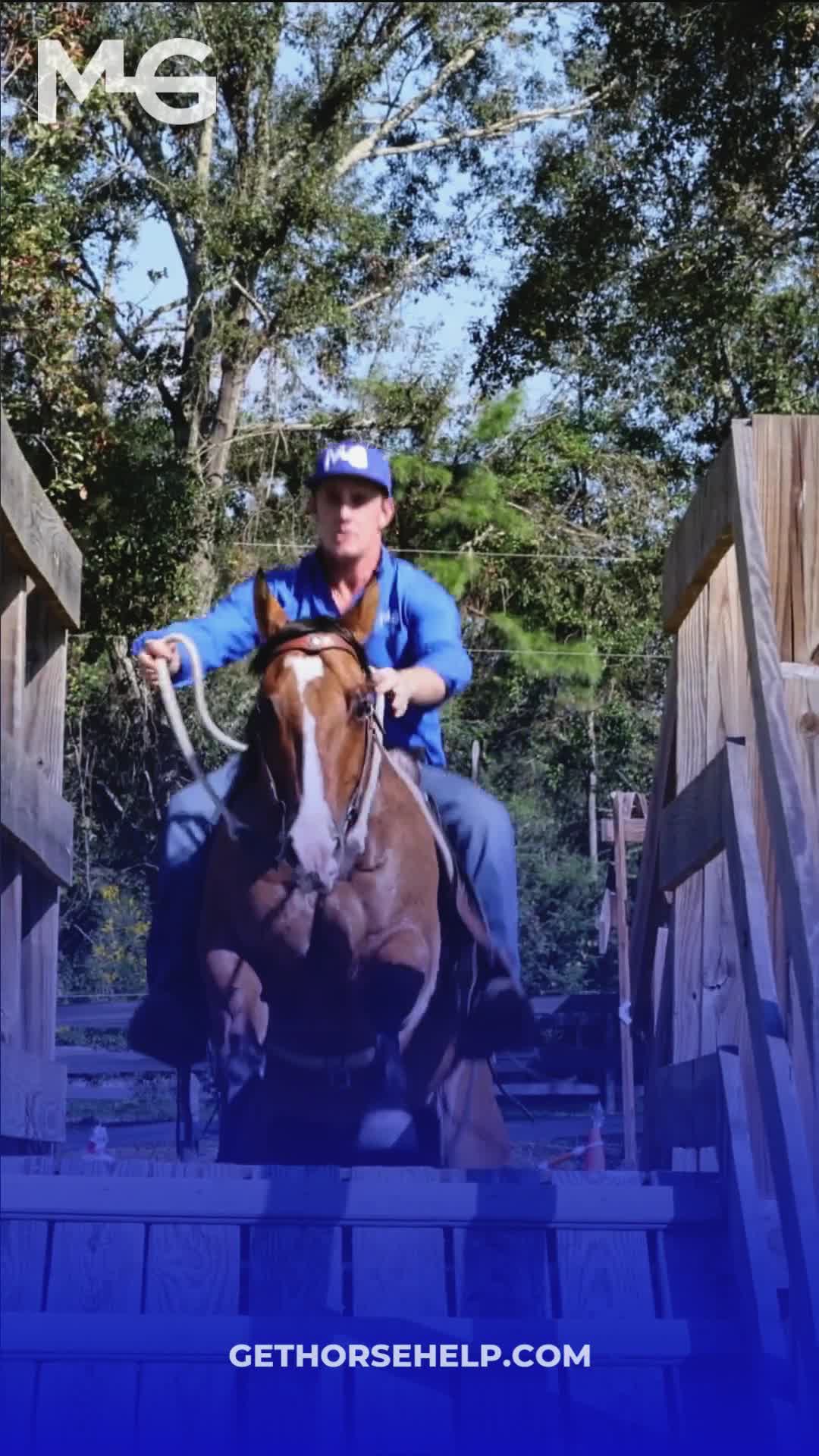 @Horse Help