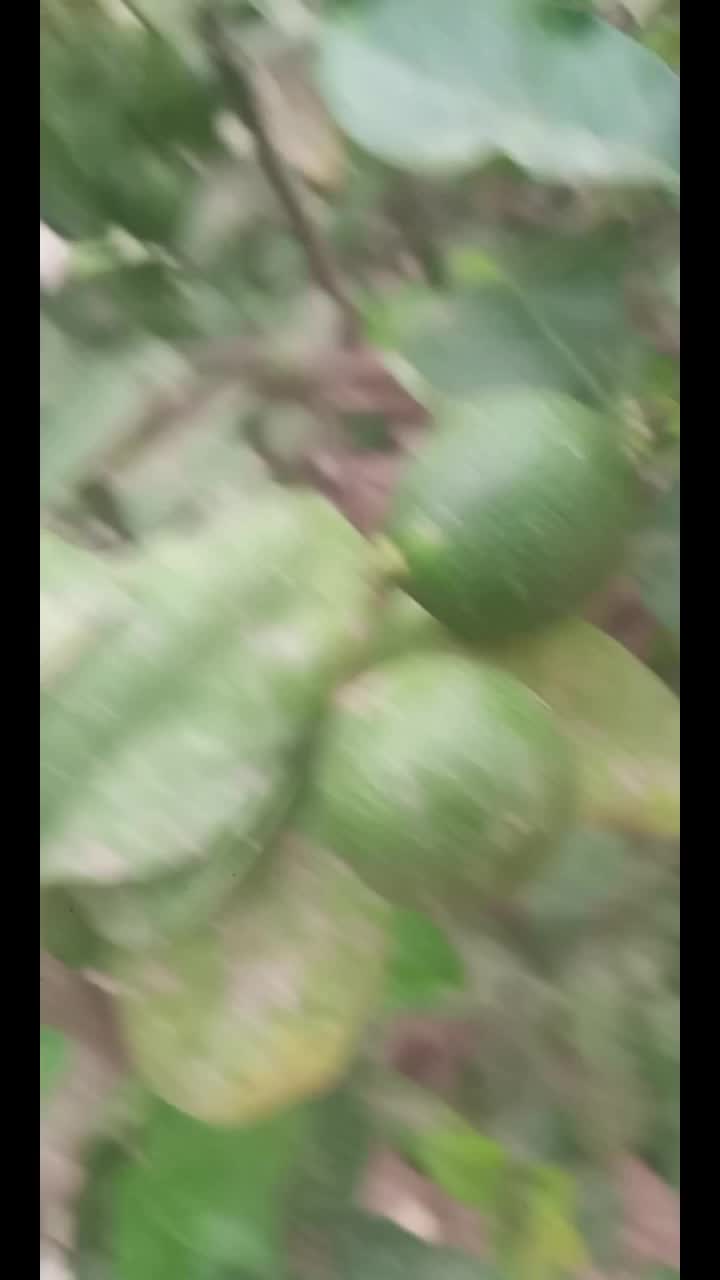 @Moussa Ndiaye KALAMOU LAH