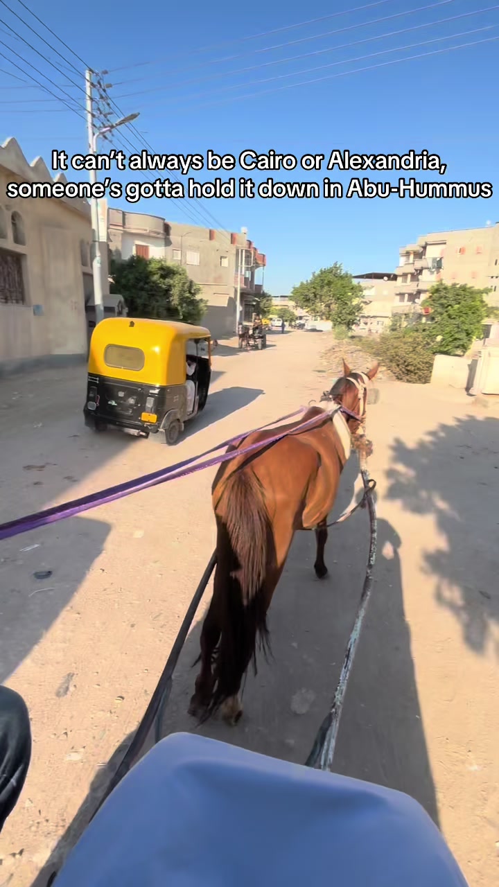 @Mahmoud El-Eshmawi