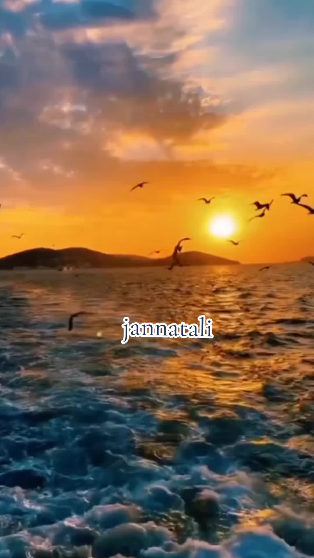 @Jannat Ali