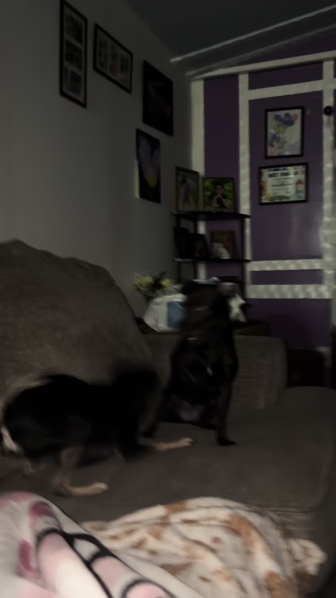 @𝙼𝚊𝚛𝚒