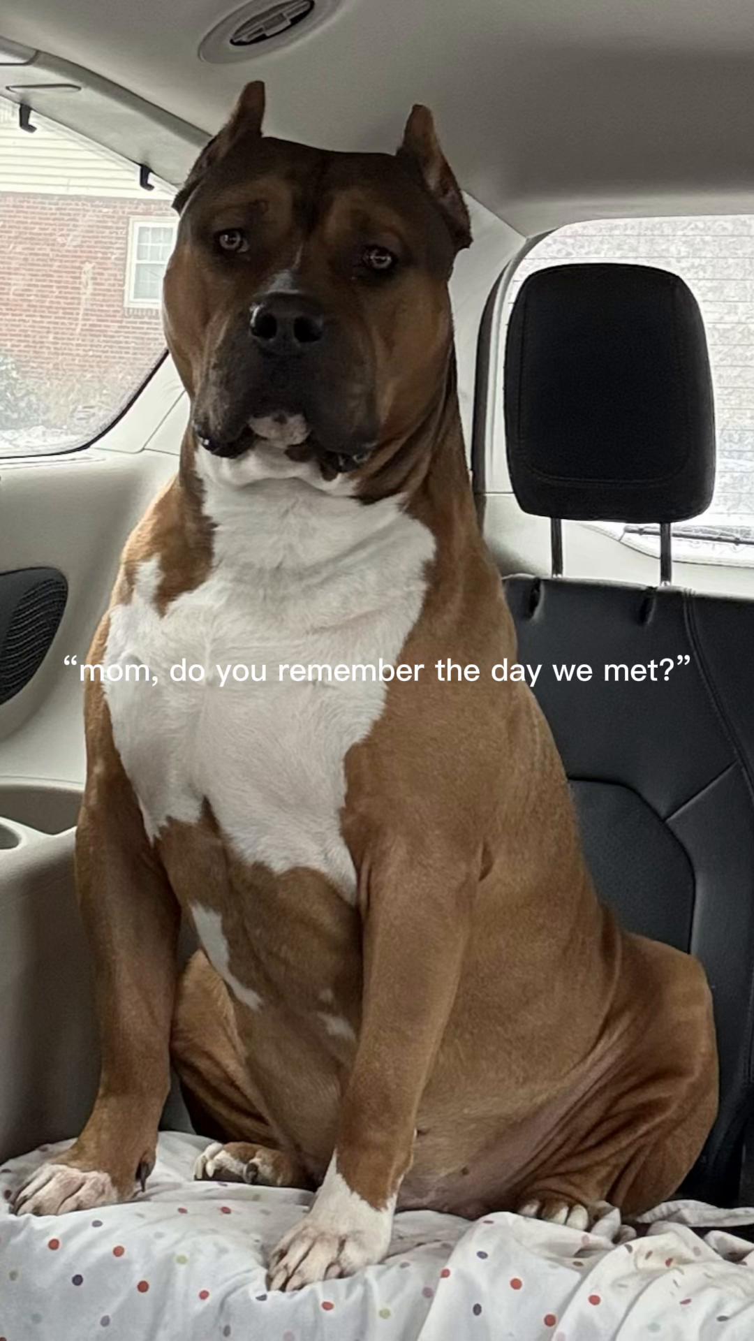 @Katelyn&bull;Rankin&bull;BigRBullies