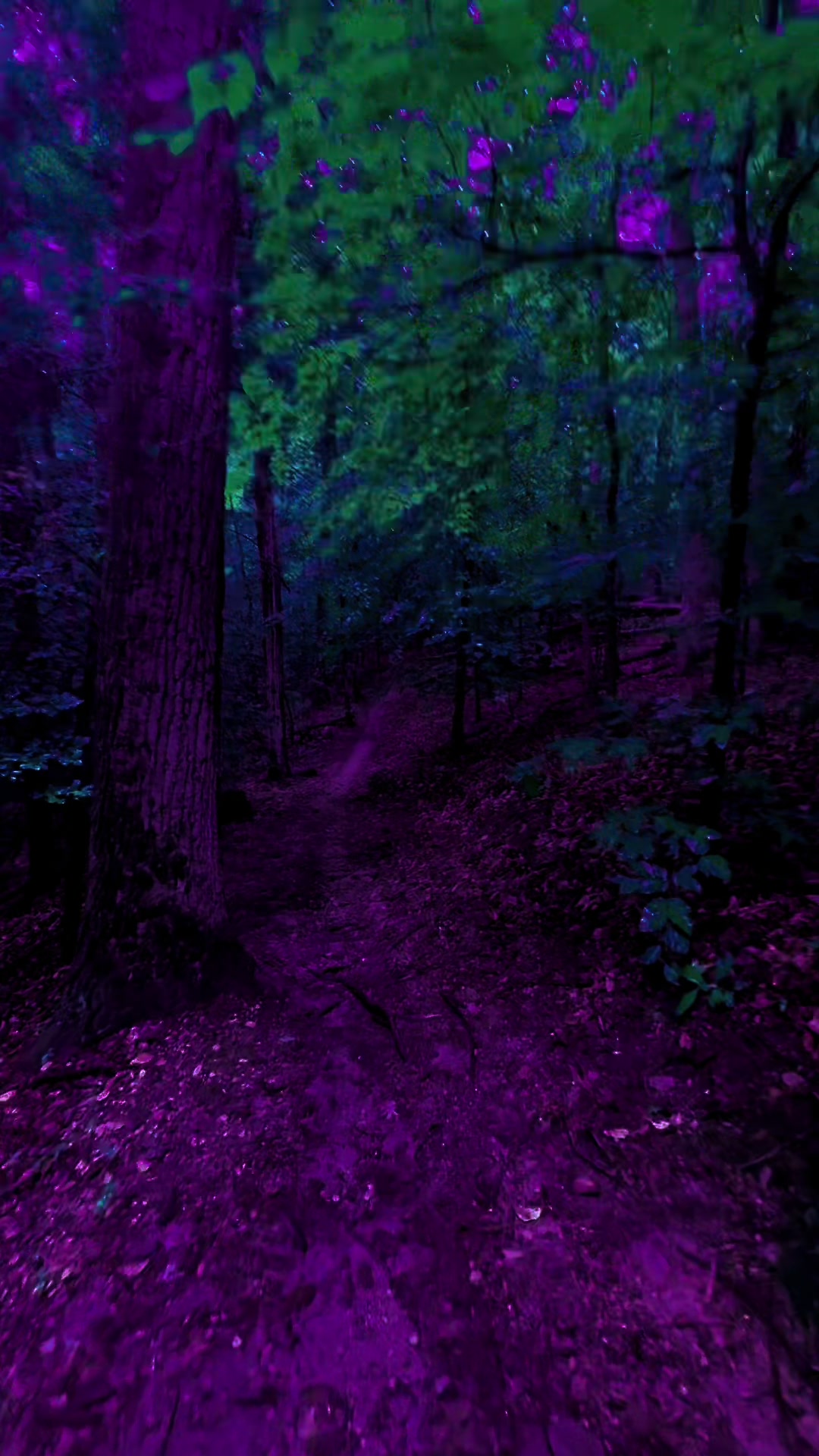 @DarkSpaces