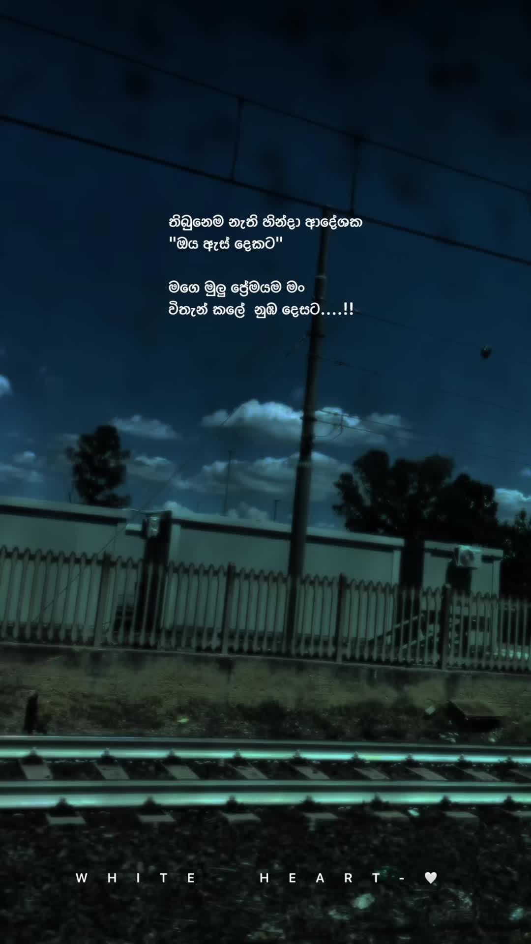 @𝐖𝐡𝐢𝐭𝐞 𝐇𝐞𝐚𝐫𝐭 🤍