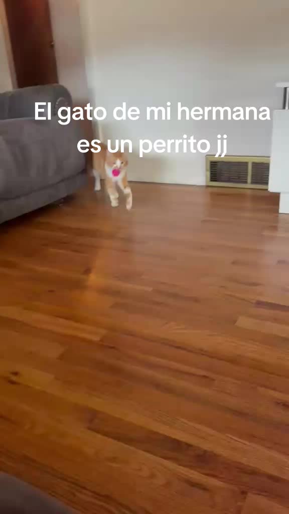 @Mayte Benitez