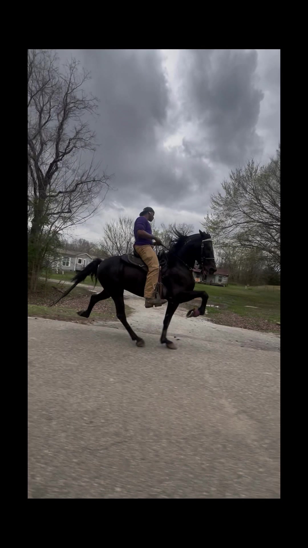 @TSmoov🐴 💰