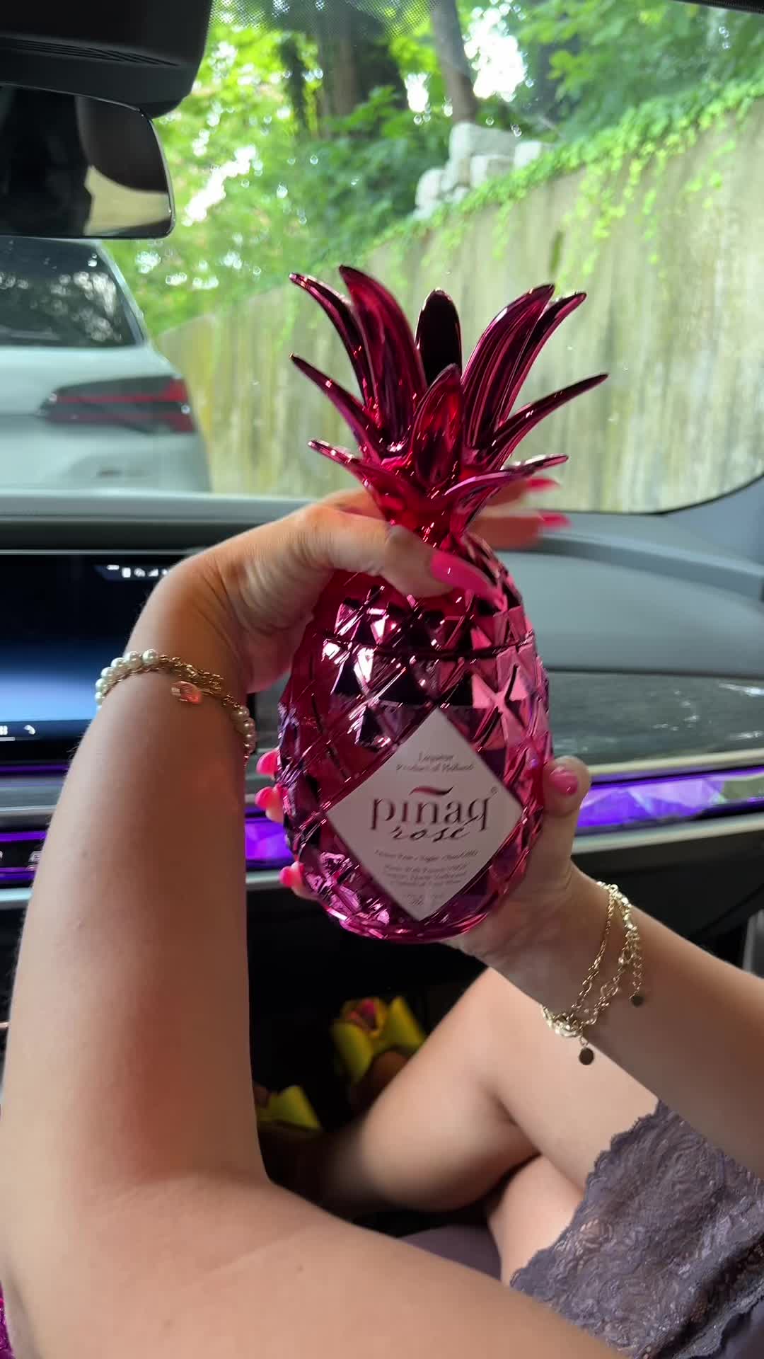 @piñaq