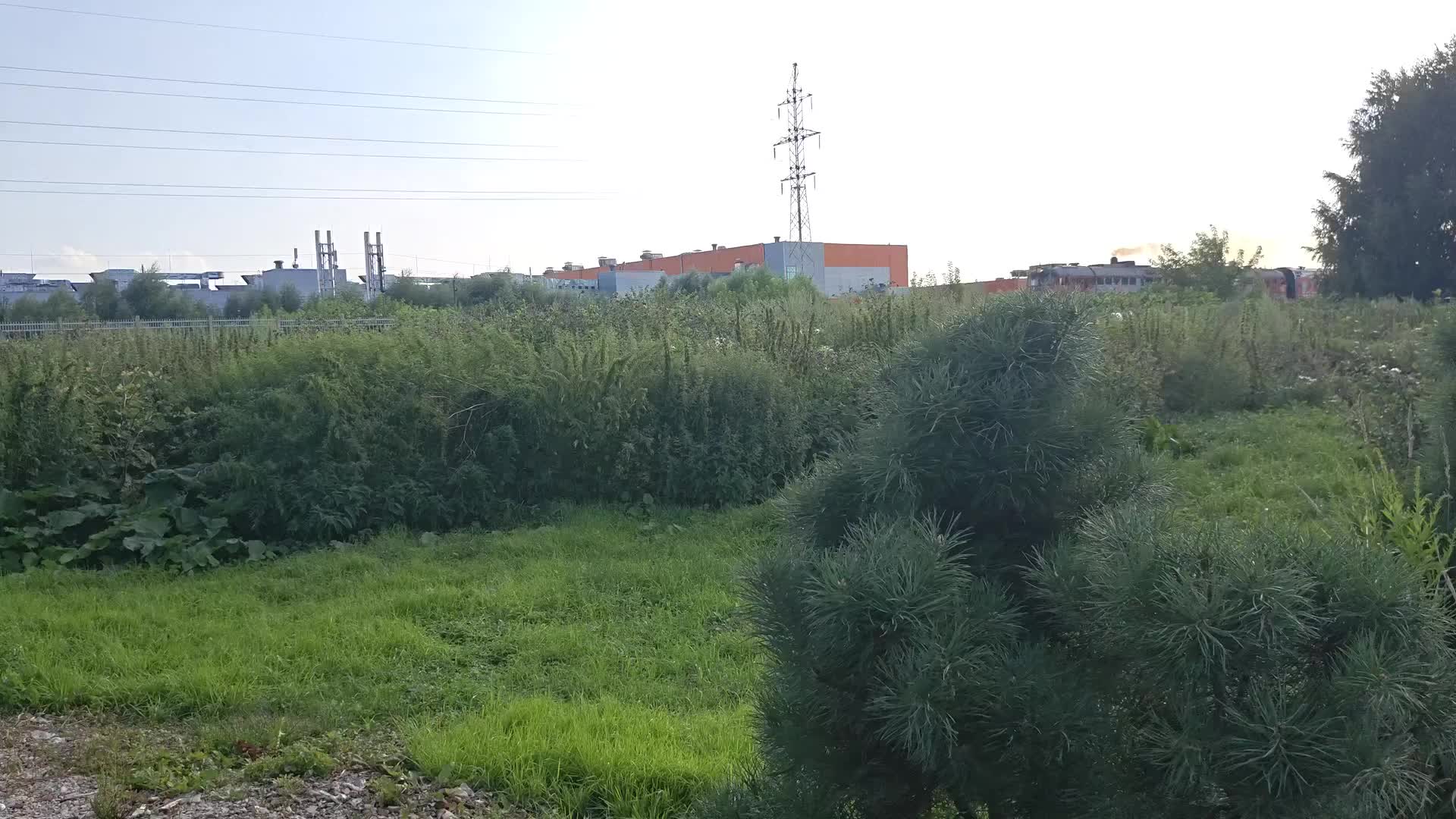 @Spotter_Tylski