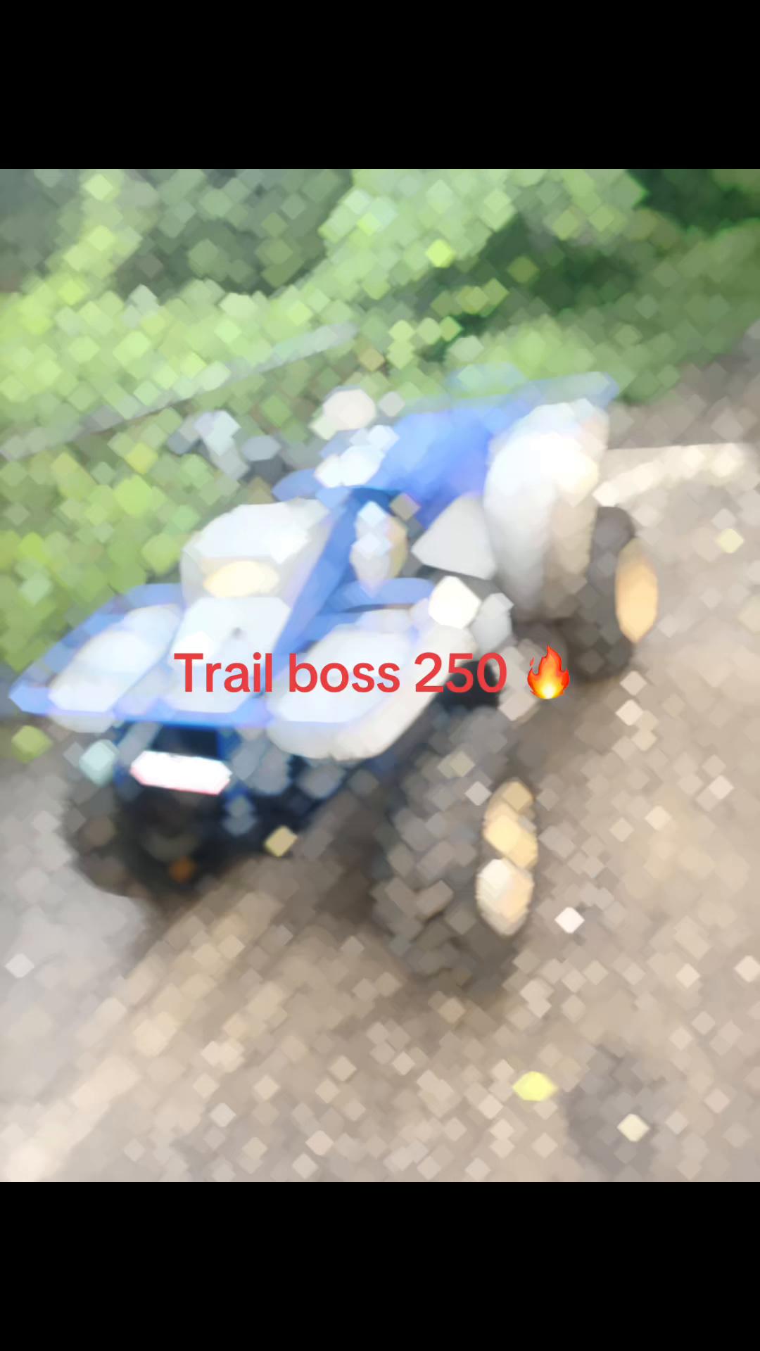 @dirtbike 300