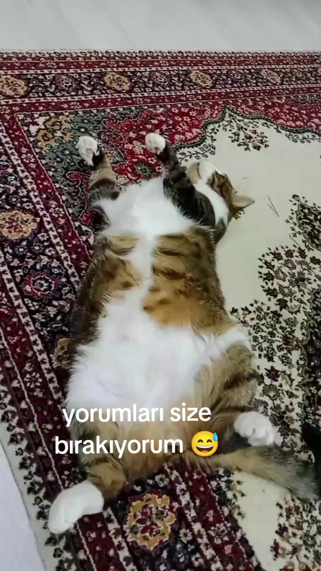 @şanslı