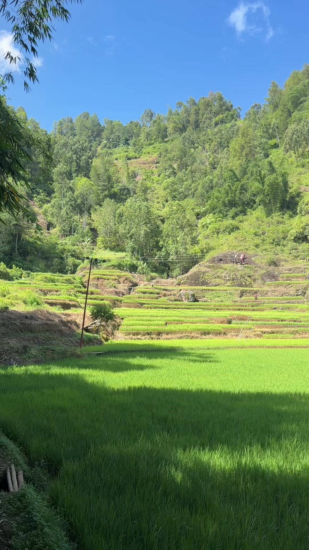 @Gantri Pasang