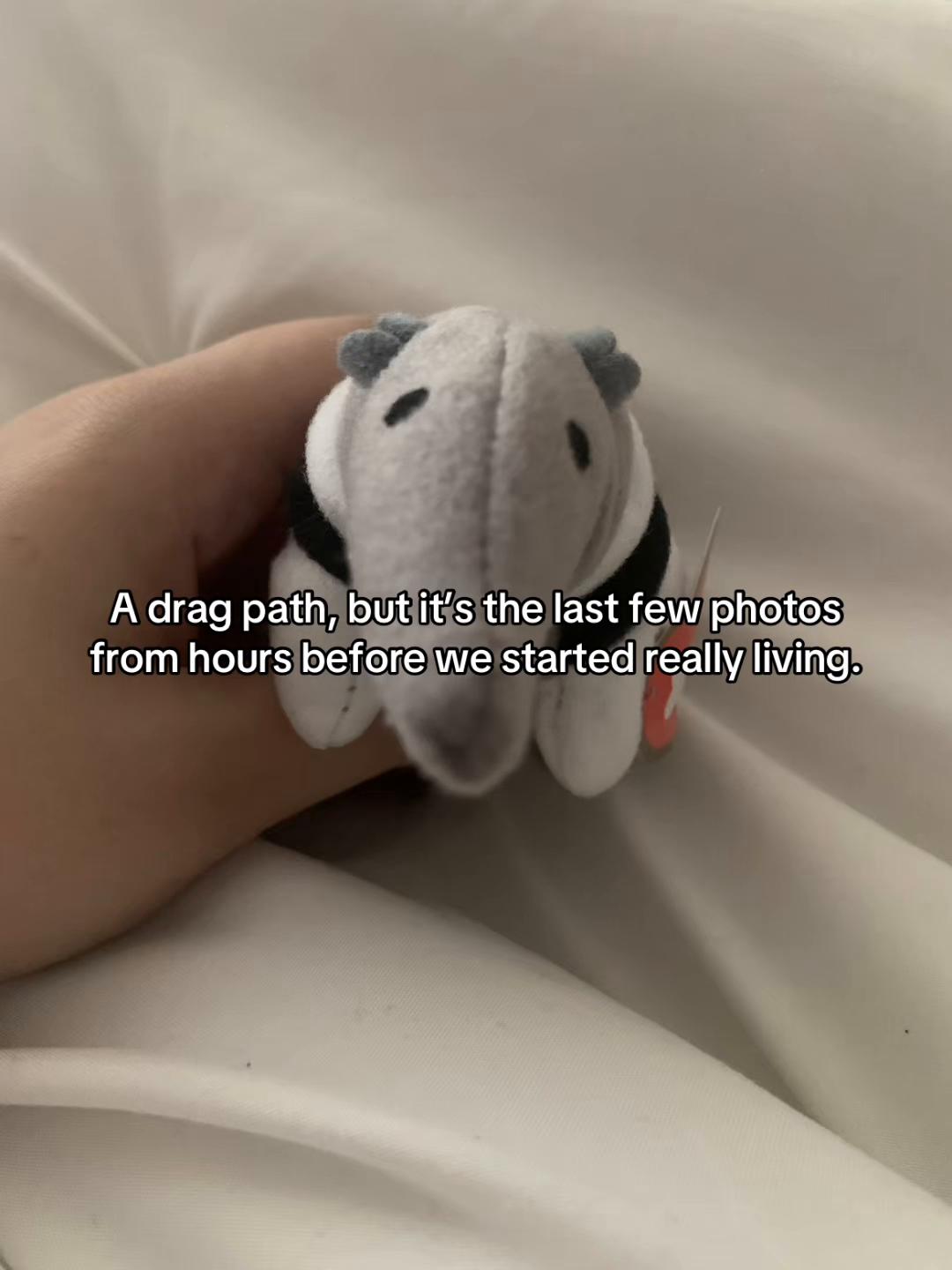@rex ノ 霸王龙