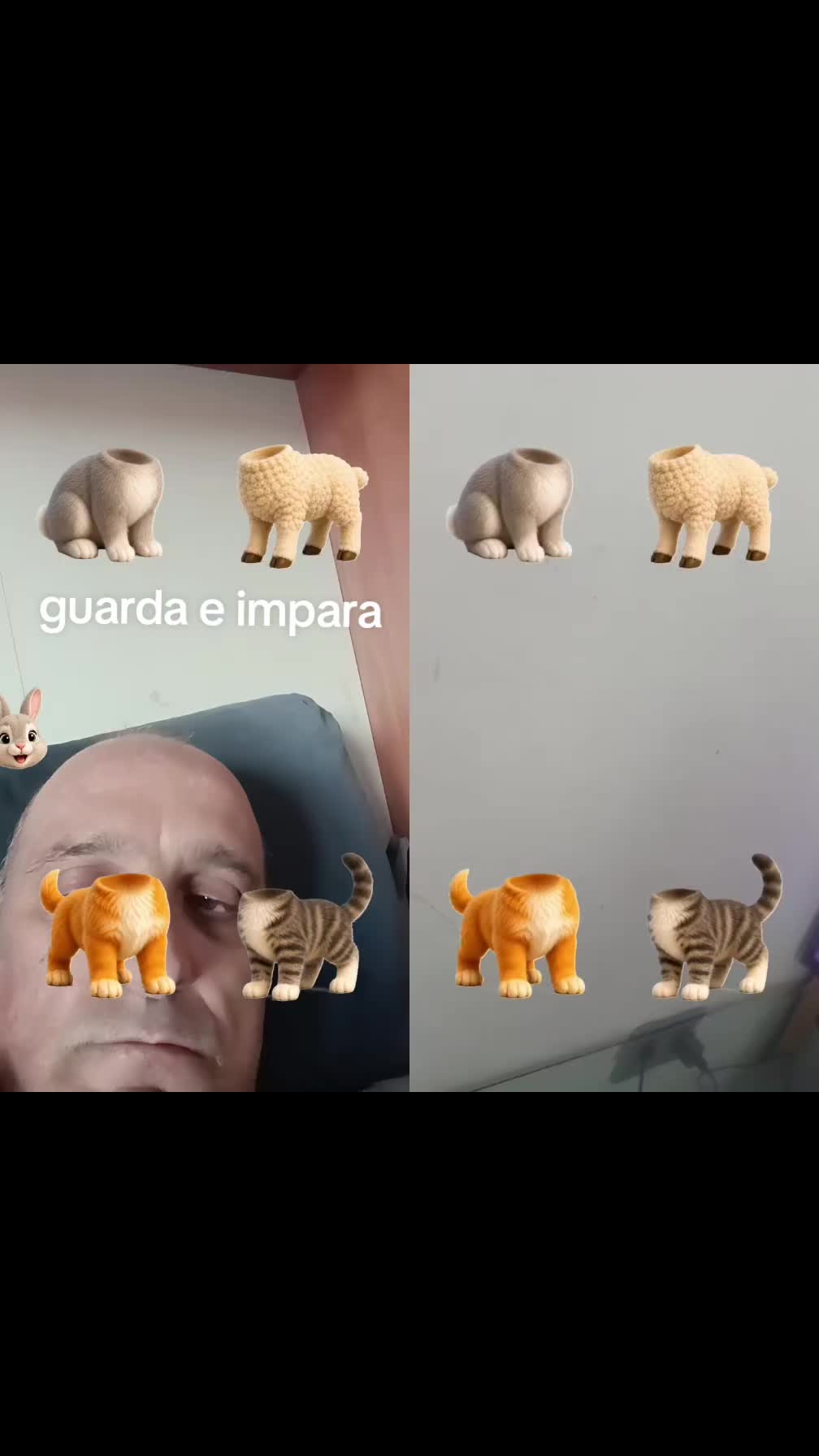 @ivorongaro6