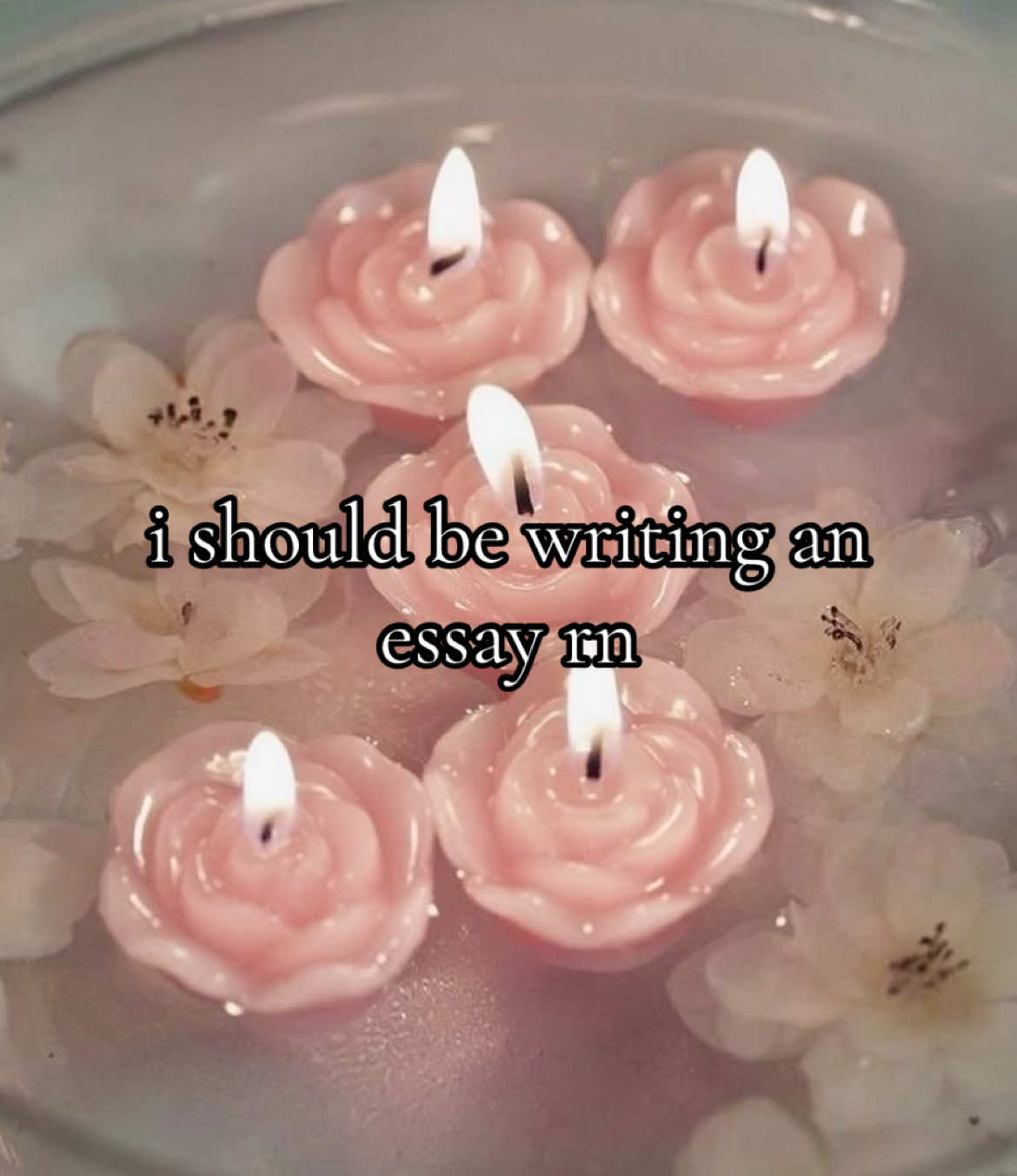 @elle ☾𖤓⋆˙⟡