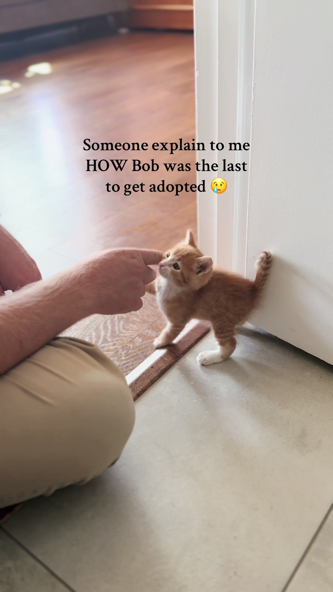 @poorbutfluffy