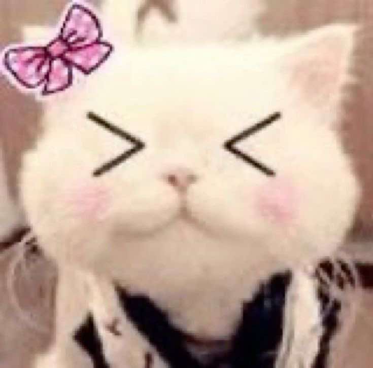 @cottagecat28