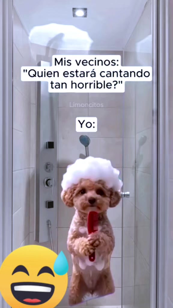 @LA VIDA ES UNA NOTA - SIGUEME