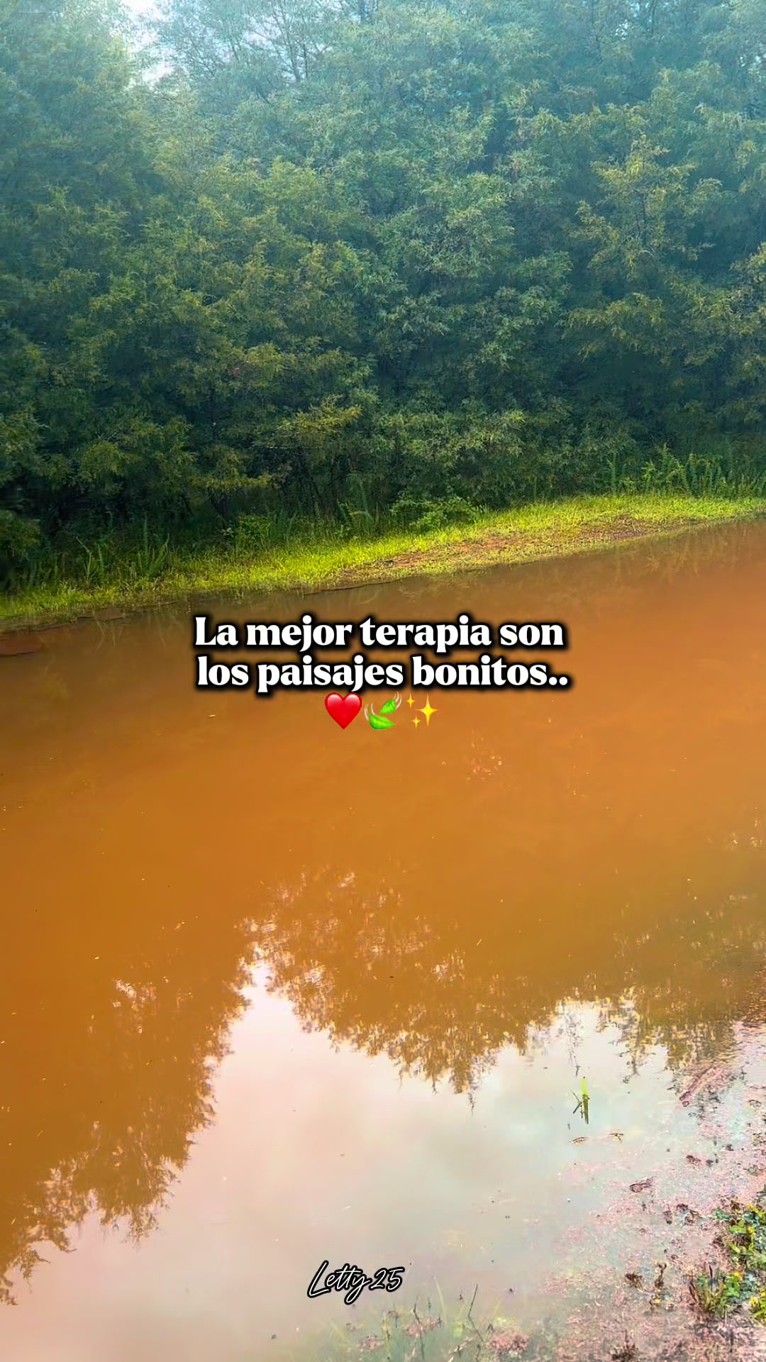 @🌺juanys🌺🍁