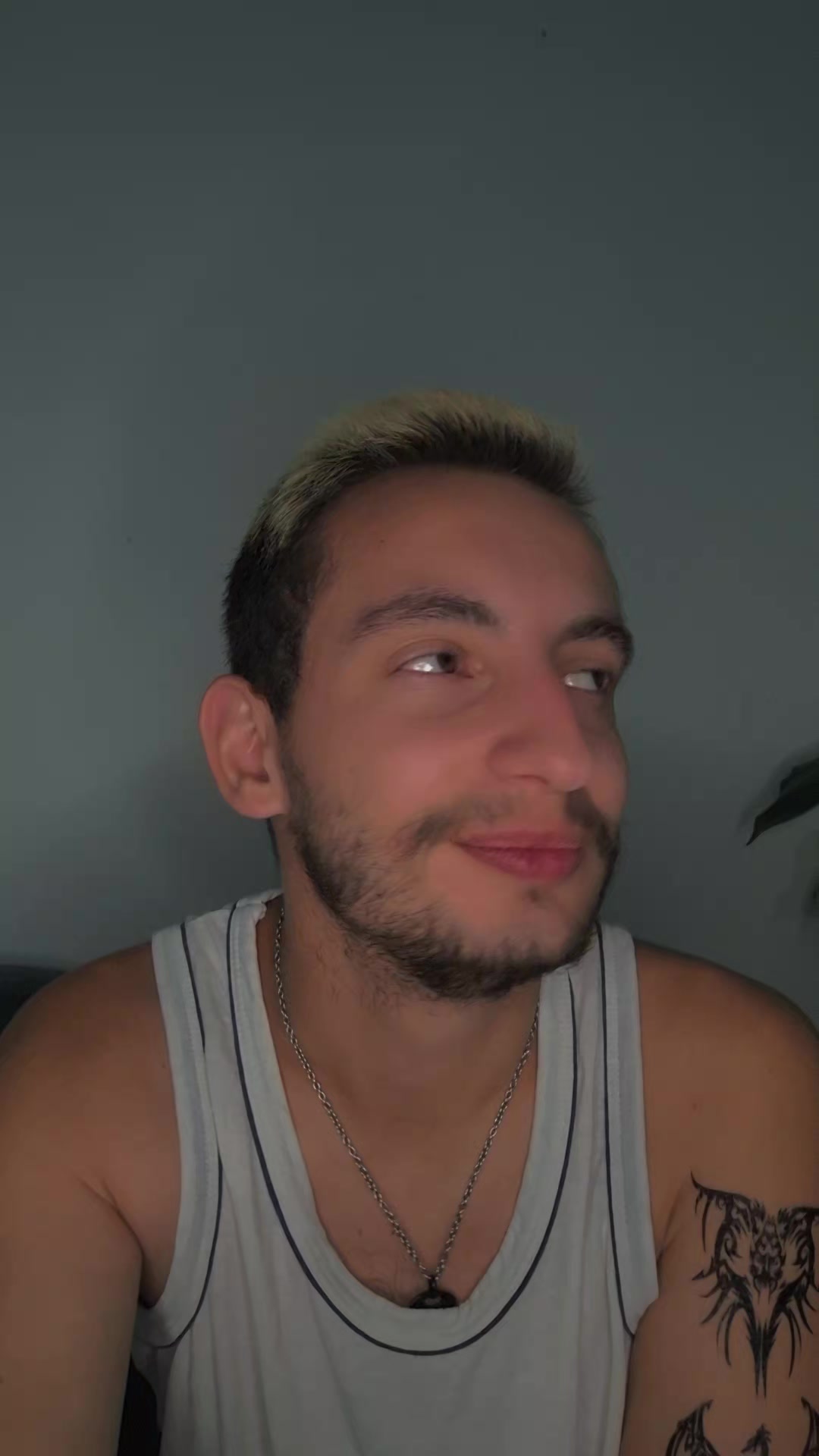 @Mehmed