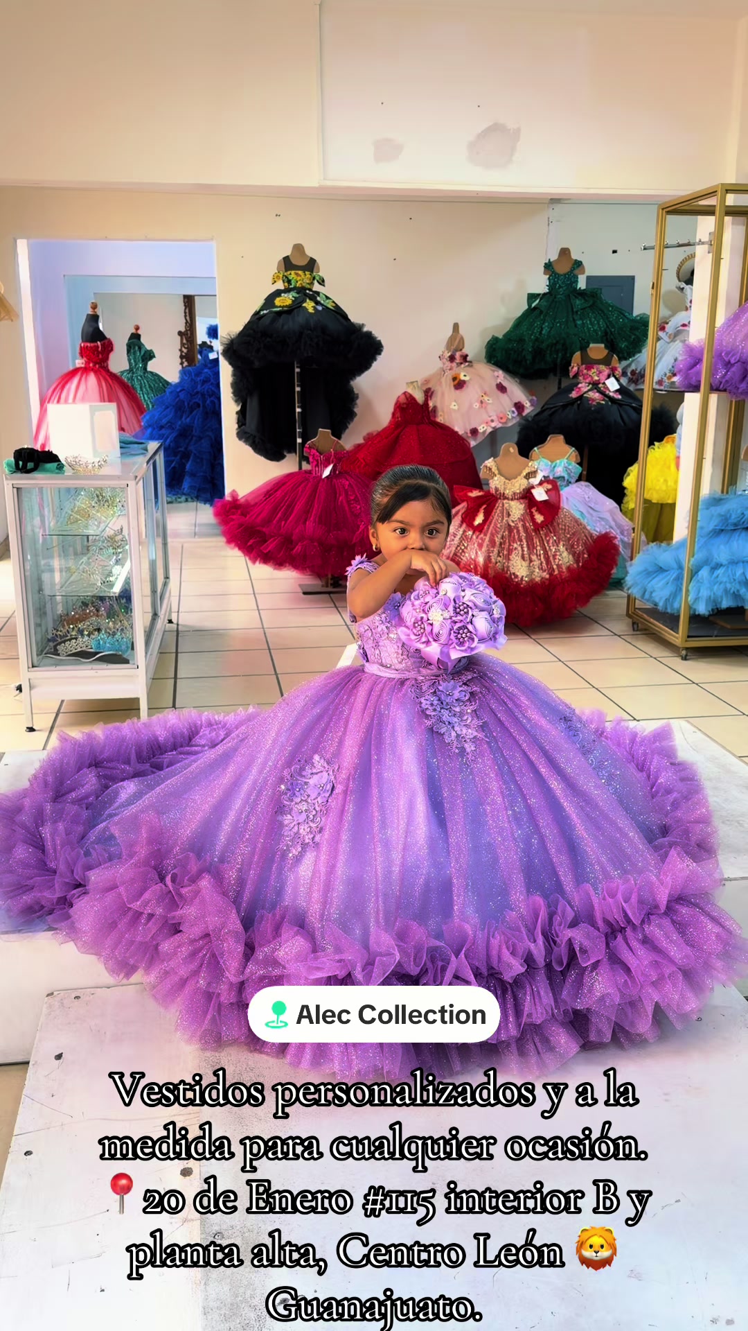 @Alec Collection