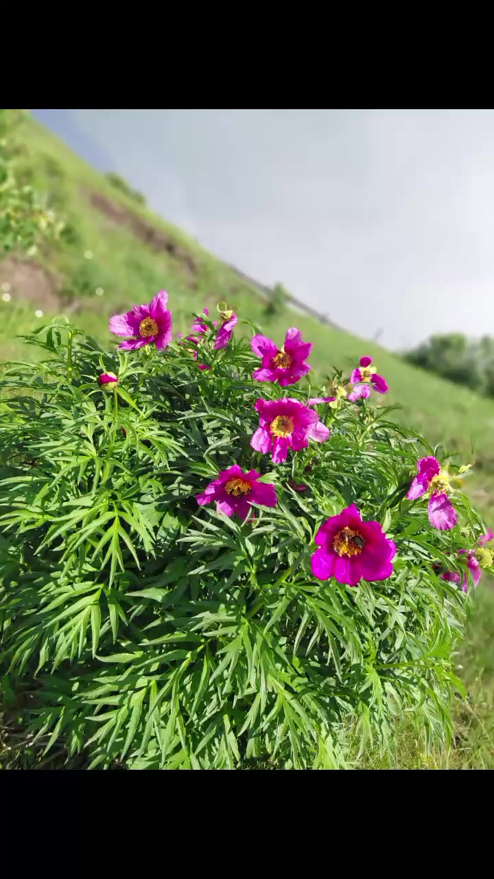 @Юлия