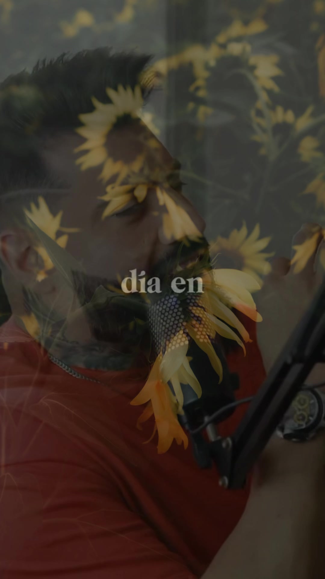 @Diane🦋