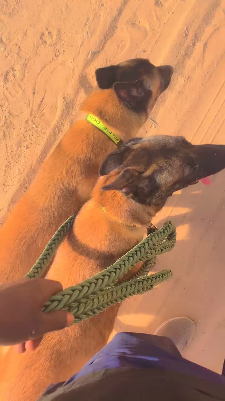 @G.I.C.N 🇸🇳🐾Ma&icirc;tre Weuz🐕&zwj;🦺