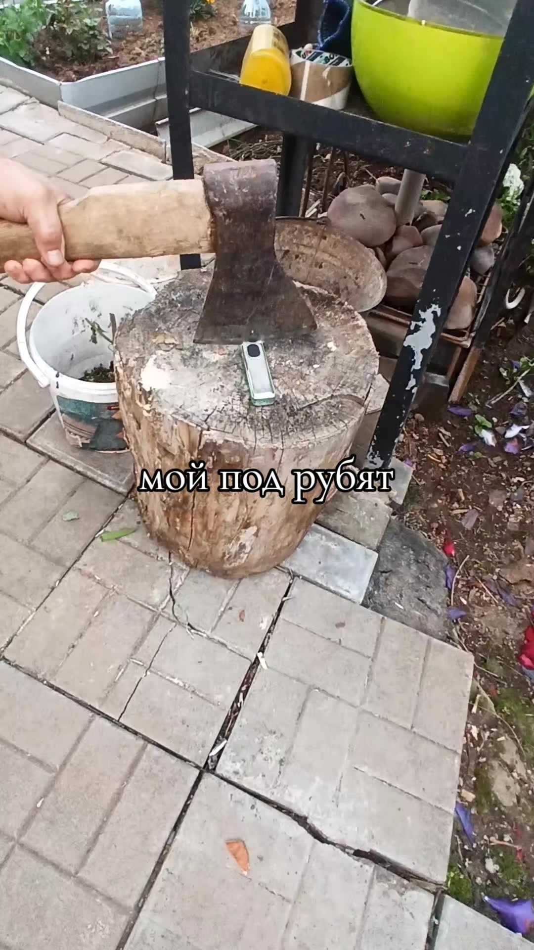@кузяя😍