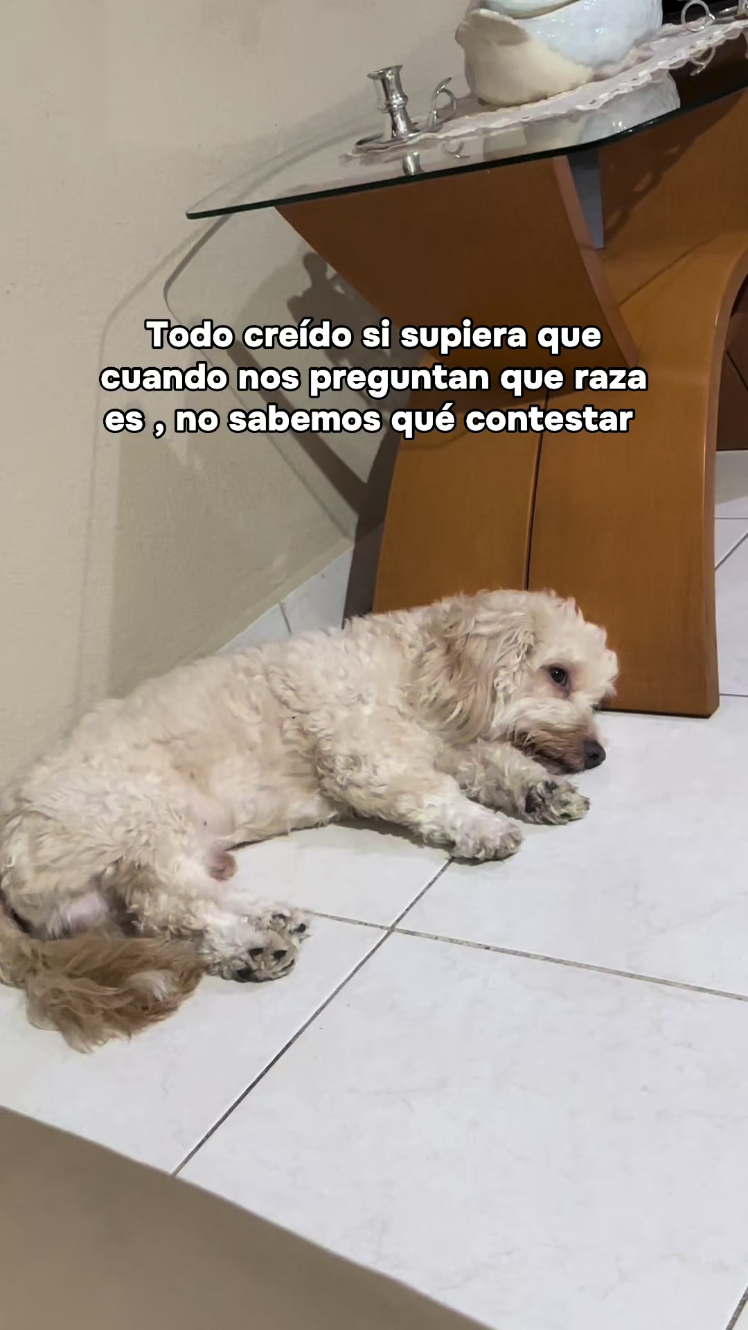 @Bailey velazquez G